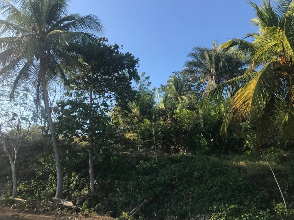 Finca en venta en Parrita, Puntarenas – foto 16
