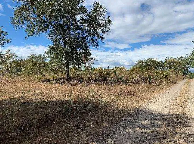 Lote comercial en venta en Bagaces, Guanacaste – FINCA, SAN JORGE, BAGACES, GUANACASTE.