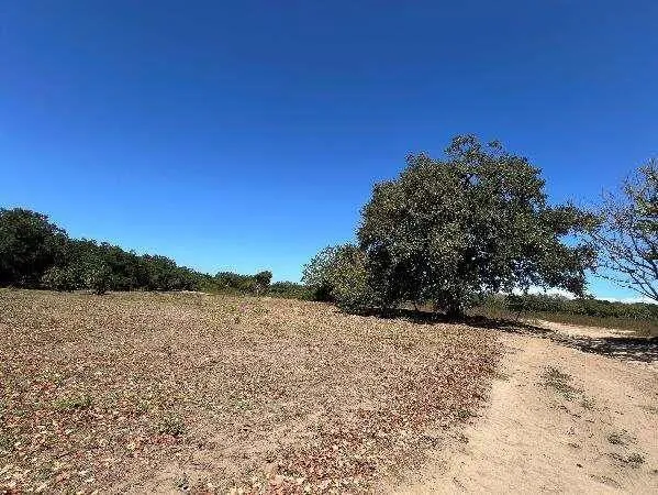 Finca en venta en Bagaces, Guanacaste – Terreno en Bagaces, Guanacaste. Proyecto La Ponderosa