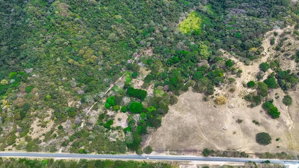Finca en venta en Cañas, Guanacaste – foto 3