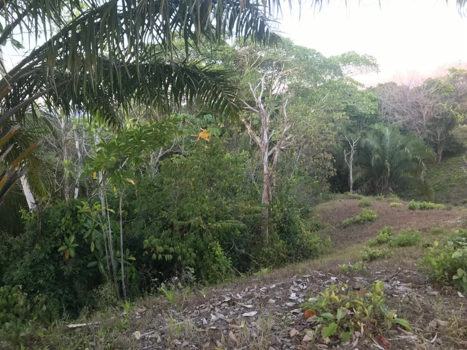 Finca en venta en Parrita, Puntarenas – foto 48