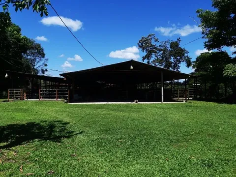 Finca en venta en Sarapiquí, Heredia – foto 3
