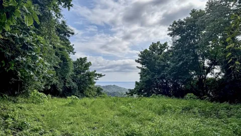 Finca en venta en Nandayure, Guanacaste – foto 3