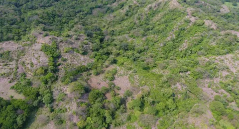 Finca en venta en Carrillo, Guanacaste – foto 4