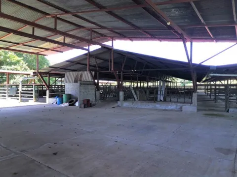 Finca en venta en Sarapiquí, Heredia – foto 5