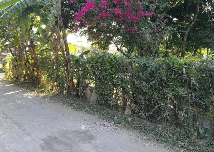 Finca en venta en Nicoya, Guanacaste – foto 4