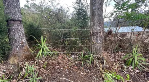 Lote en venta en Naranjo, Alajuela – Lote en Naranjo, Alajuela