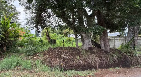 Lote en venta en Moravia, San José – foto 3