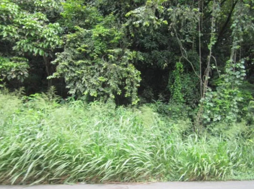 Finca en venta en Esparza, Puntarenas – foto 2