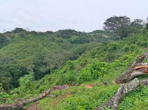 Lote en venta en Turrucares, Alajuela, Alajuela – foto 3