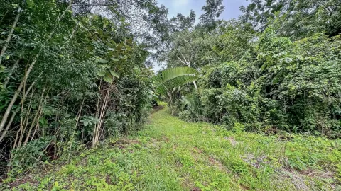 Finca en venta en Nandayure, Guanacaste – foto 4