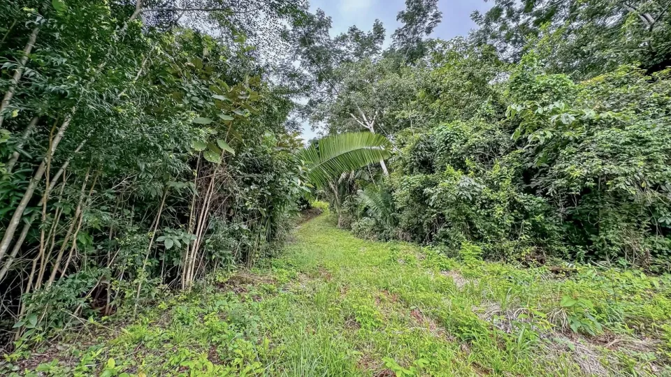 Finca en venta en Nandayure, Guanacaste – foto 4
