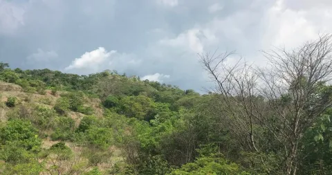 Finca en venta en Carrillo, Guanacaste – foto 5