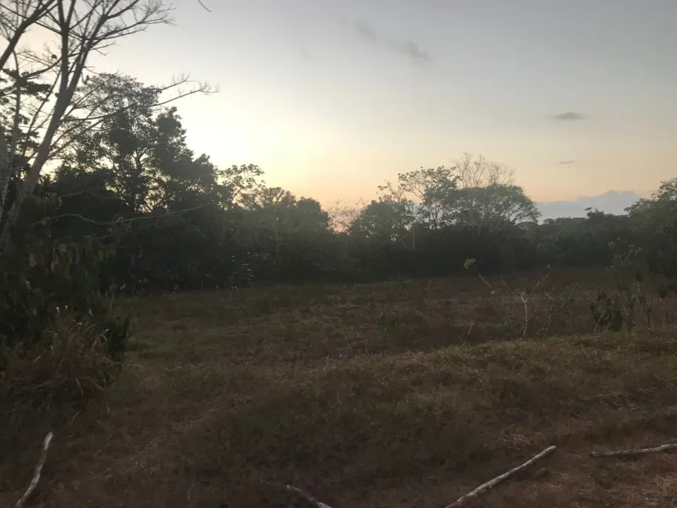 Finca en venta en Parrita, Puntarenas – foto 53