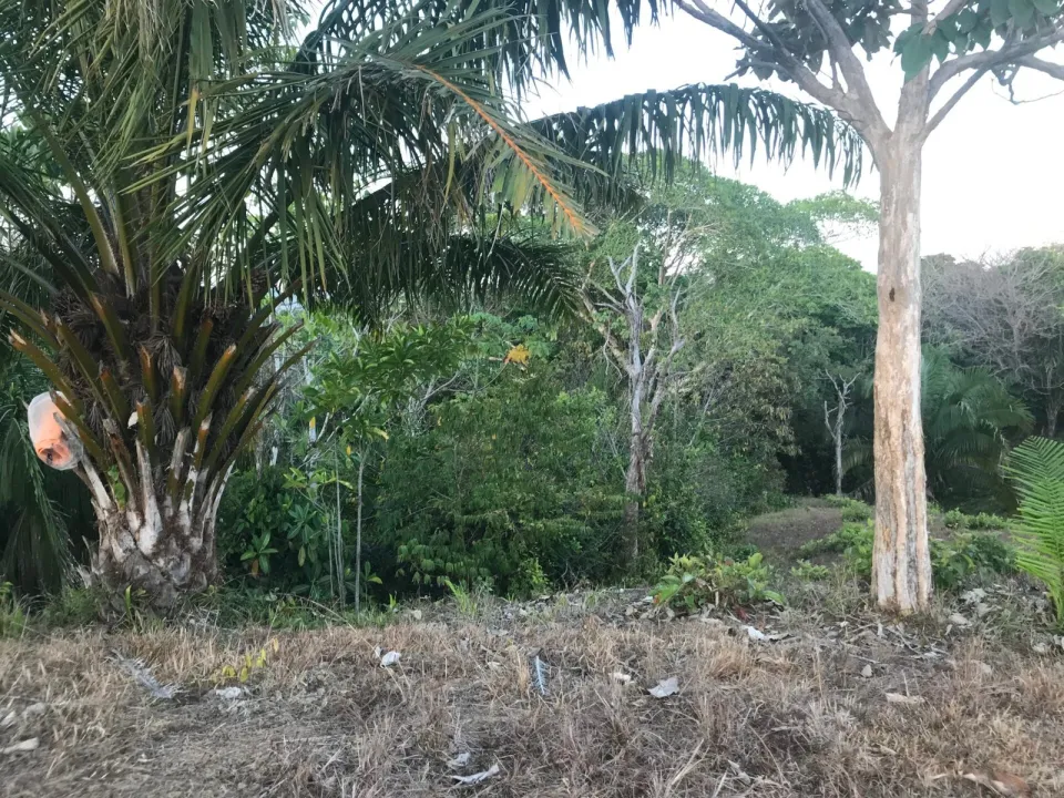 Finca en venta en Parrita, Puntarenas – foto 45