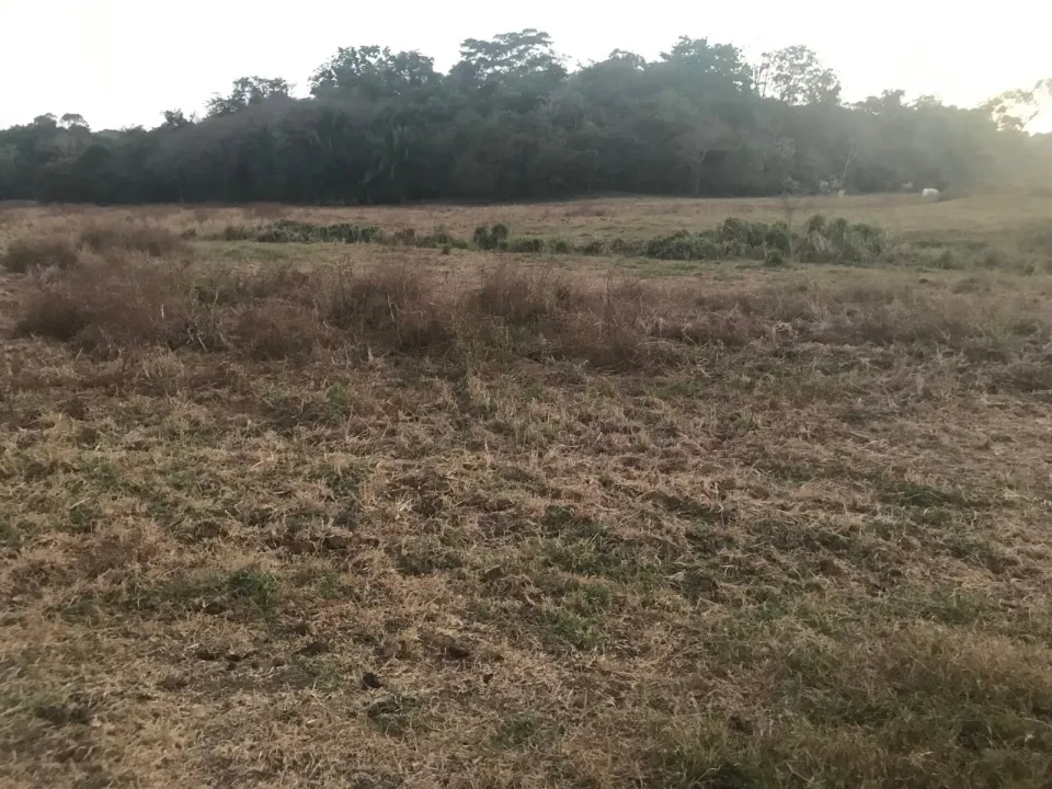Finca en venta en Parrita, Puntarenas – foto 55