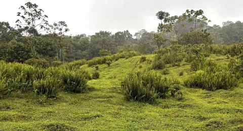 Finca en venta en Sarapiquí, Heredia – Finca en Sarapiqui, San Luis