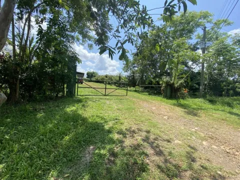 Finca en venta en San Carlos, Alajuela – Se Vende Finca en San Carlos, Cutris, Alajuela