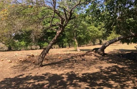Lote en venta en Puntarenas, Puntarenas, Puntarenas – Lote en Garabito, Puntarenas