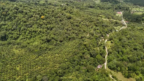 Finca en venta en Osa, Puntarenas – foto 2
