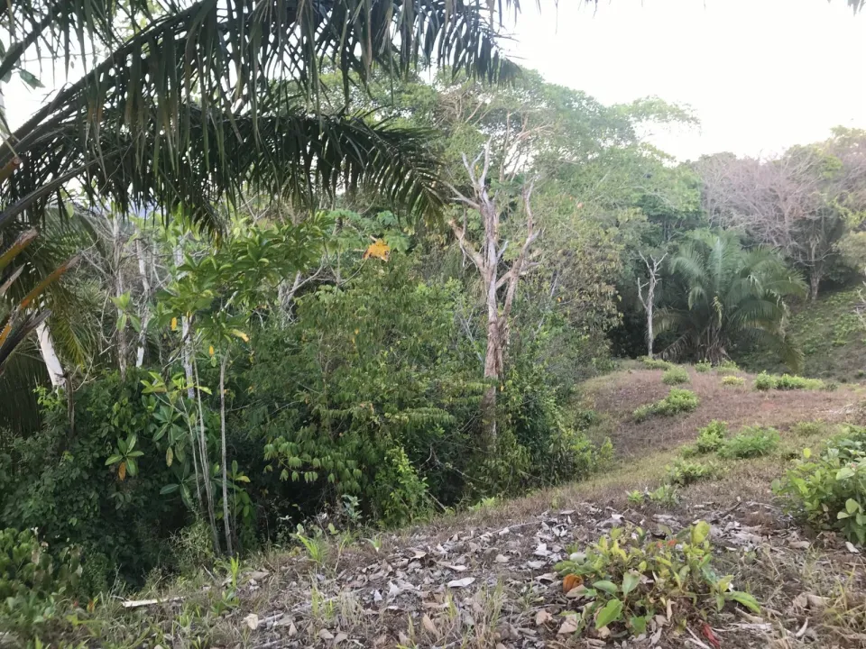 Finca en venta en Parrita, Puntarenas – foto 47