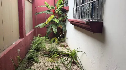 Casa en venta en Vázquez de Coronado, San José – foto 3