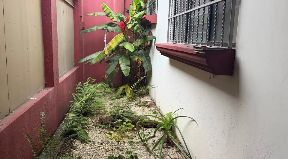 Casa en venta en Vázquez de Coronado, San José – foto 3
