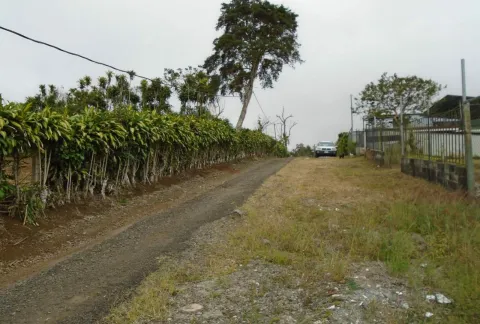 Finca en venta en San Ramón, Alajuela – foto 3