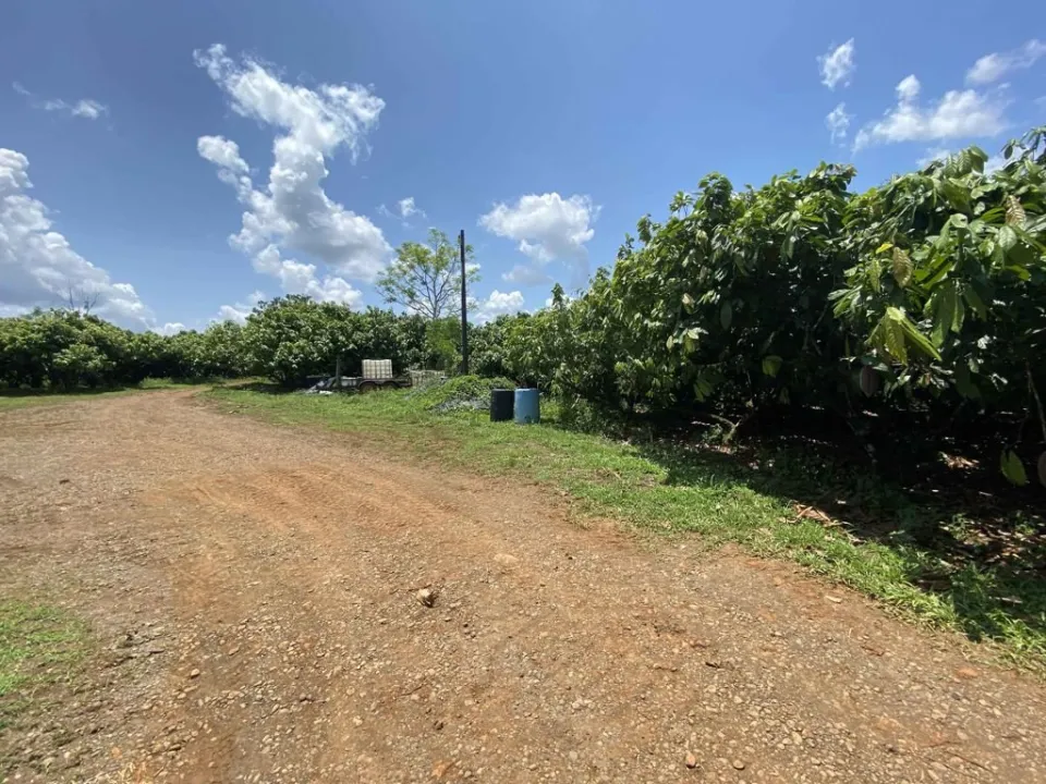 Finca en venta en San Carlos, Alajuela – foto 7