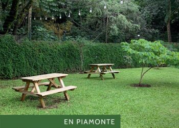 106094711_2577035969236101_4128909167748917542_n