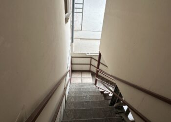 IMG_2411