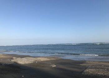 IMG_4207