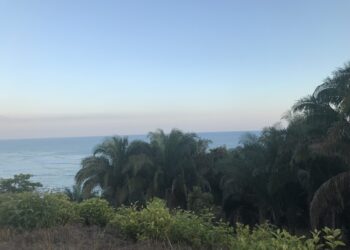 IMG_4223