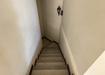 IMG_7326