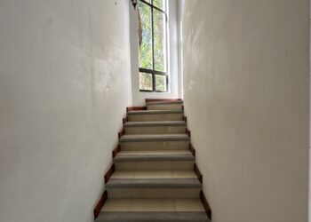 IMG_7330