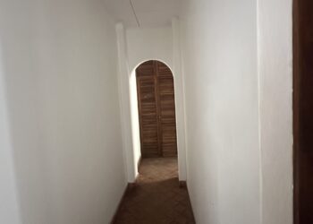 IMG_7812
