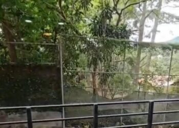 WhatsApp Image 2025-07-30 at 7.29.26 AM (3)