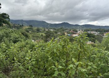 foto_11