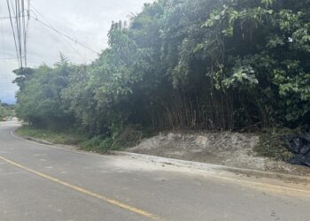 foto_15