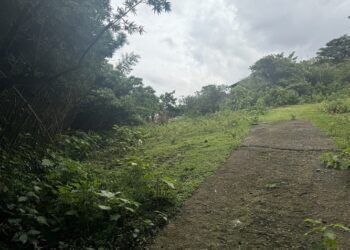 foto_3