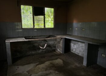 foto_8