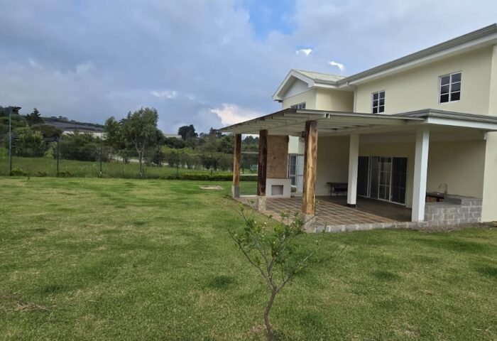 oreamuno 7