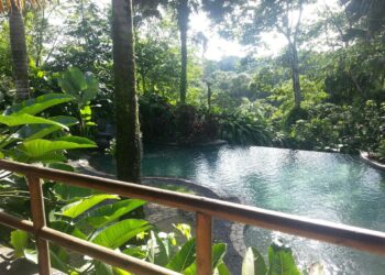 sarapiquis-rainforest-6